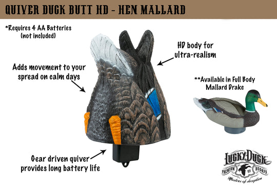 Quiver Duck Butt HD - Hen Mallard