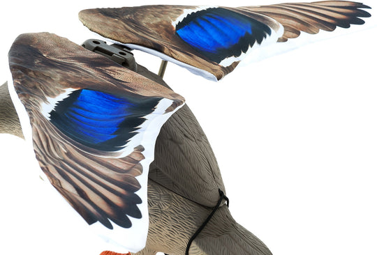 Mallard Flapper Wings
