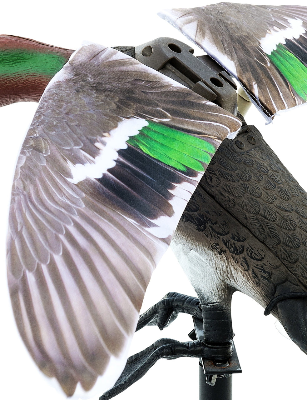 Rapid Flyer Teal Wings