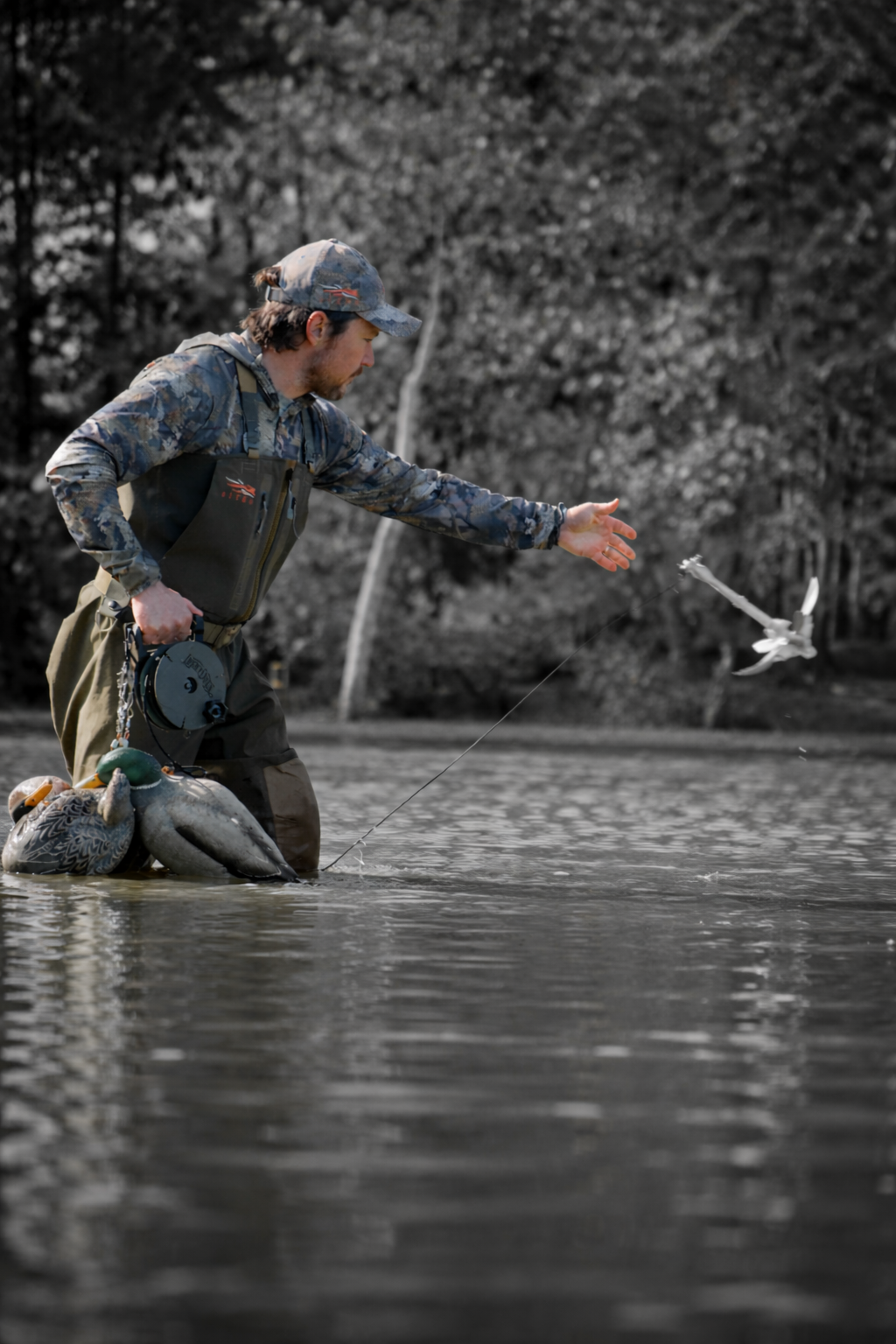 Reel Jerk Rig
