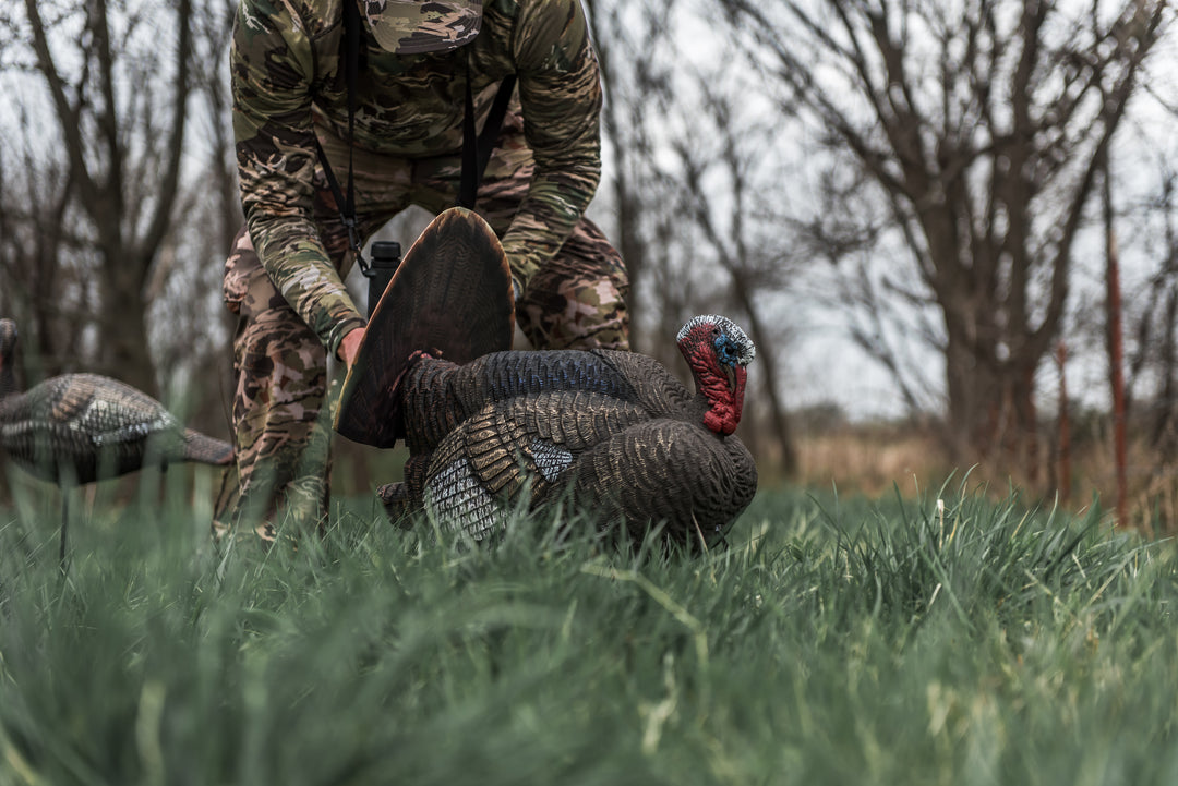 Lucky HD Collapsible Field Strutter