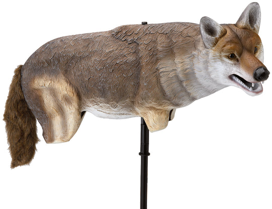 Yote Coyote