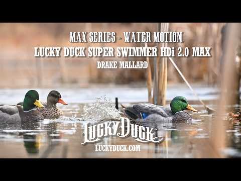 Lucky HDi Super Swimmer 2.0 - MAX