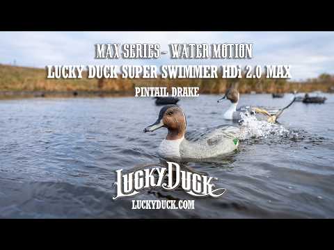 Lucky HDi Super Swimmer 2.0 MAX - Pintail Drake