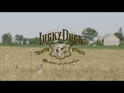 Clip on Doves with Stakes