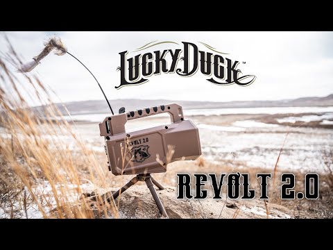 Revolt 2.0