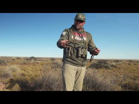 Predator Drag