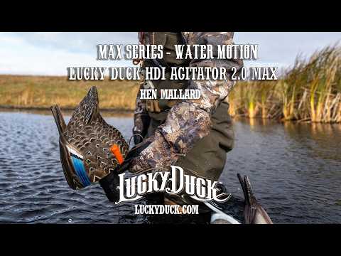 Lucky HDi Agitator 2.0 MAX - Hen