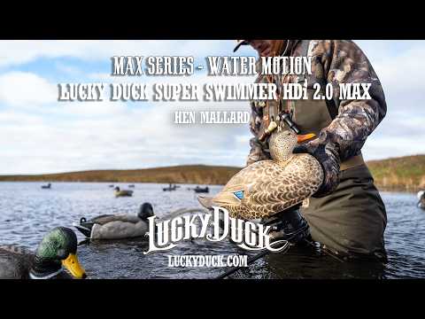 Lucky HDi Super Swimmer 2.0 MAX - Hen Mallard
