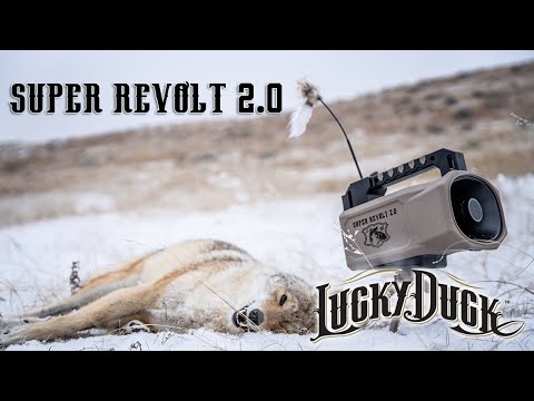 Super Revolt 2.0
