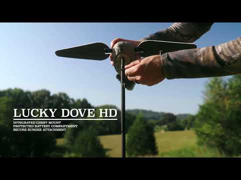 Lucky Dove HD