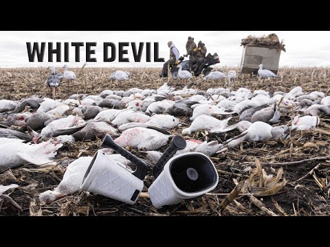 White Devil E-Caller